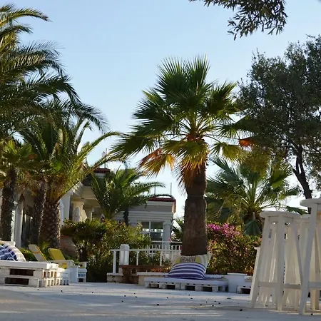 Hotell Oliviera Private Island - Kalem Island